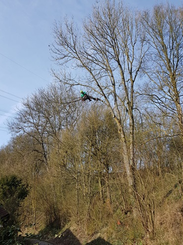 baumpflege-gartenbau-henn