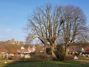 baumpflege-gartenbau-henn